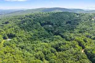 156 Mulberry Cir, Jasper, GA 30143 - Photo 7