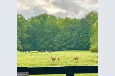 35 Canyon Pass, Cleveland, GA 30528 - Photo 17