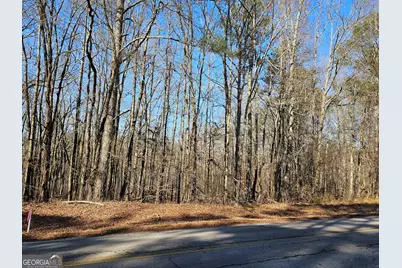 Lot 2 Manning Gin Road, Winder, GA 30680 - Photo 7