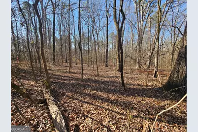 Lot 2 Manning Gin Road, Winder, GA 30680 - Photo 5