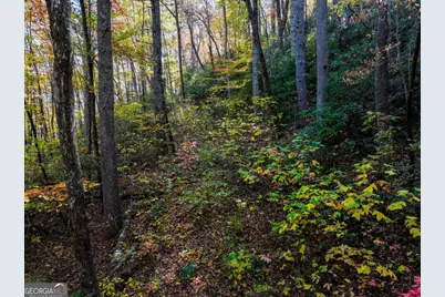 Lot 46 Utana Bluffs Trail, Ellijay, GA 30540 - Photo 19