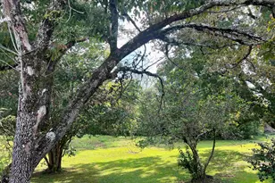 277 Newnan St, Franklin, GA 30217 - Photo 29