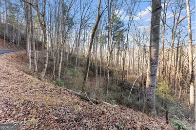 0 River View Lot 13 Trail W, Dahlonega, GA 30533 - Photo 27