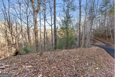 0 River View Lot 13 Trail W, Dahlonega, GA 30533 - Photo 25