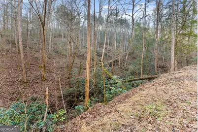 0 River View Lot 13 Trail W, Dahlonega, GA 30533 - Photo 31