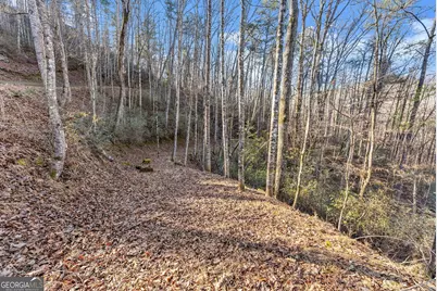 0 River View Lot 13 Trail W, Dahlonega, GA 30533 - Photo 23