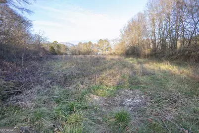 00 Bowman Highway, Dewy Rose, GA 30634 - Photo 11