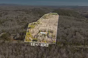 3317 Talmadge Dr, Clarkesville, GA 30523 - Photo 51