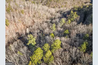 0 River View Lots 12 & 13 Trail W, Dahlonega, GA 30533 - Photo 43