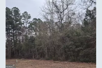 5233 Burnt Fort Road, White Oak, GA 31568 - Photo 3