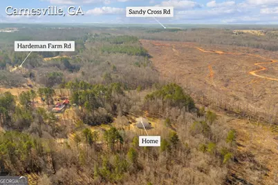 1079 Hardeman Farm Road, Carnesville, GA 30521 - Photo 55