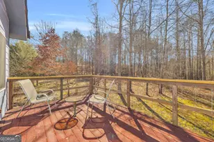 1079 Hardeman Farm Rd, Carnesville, GA 30521 - Photo 9