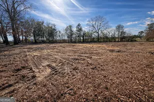 4539 Lewis Church Rd, Millen, GA 30442 - Photo 1