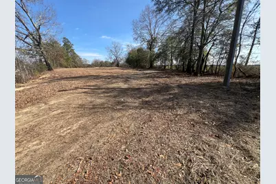 4539 Lewis Church Road, Millen, GA 30442 - Photo 3