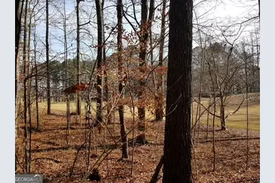 104 Hawks Court, Ball Ground, GA 30107 - Photo 3