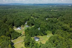 294 Gay Thompson Dr, Canton, GA 30115 - Photo 59