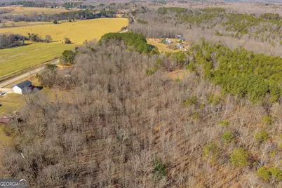 91 Almetie Drive, Toccoa, GA 30577 - Photo 73