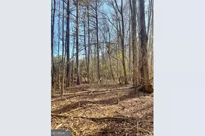 0 Padgett Road #LOT 6, Senoia, GA 30276 - Photo 3