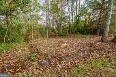 114 Bear Bend, Blairsville, GA 30512 - Photo 7