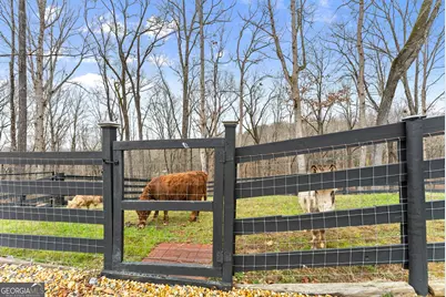 6008 Serene Circle, Gainesville, GA 30506 - Photo 39