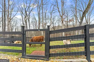 6008 Serene Cir, Gainesville, GA 30506 - Photo 39