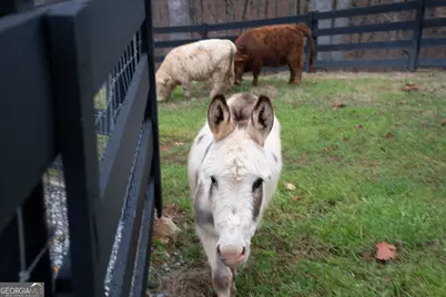 6008 Serene Circle, Gainesville, GA 30506 - Photo 53