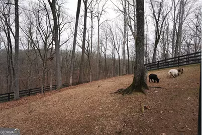 6008 Serene Circle, Gainesville, GA 30506 - Photo 55