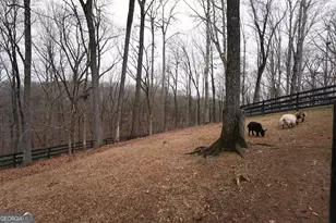 6008 Serene Cir, Gainesville, GA 30506 - Photo 55