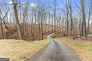 6008 Serene Cir, Gainesville, GA 30506 - Photo 49