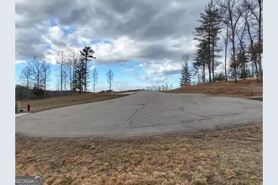 Lt 28/29 New Water Way, Blairsville, GA 30512 - Photo 13