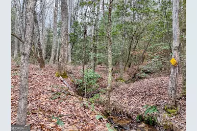 Lt 28/29 New Water Way, Blairsville, GA 30512 - Photo 27