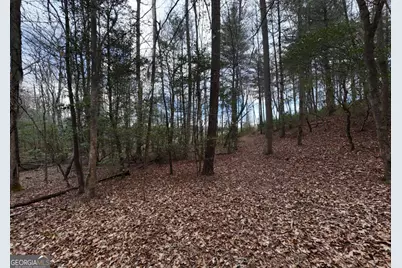 Lt 28/29 New Water Way, Blairsville, GA 30512 - Photo 9