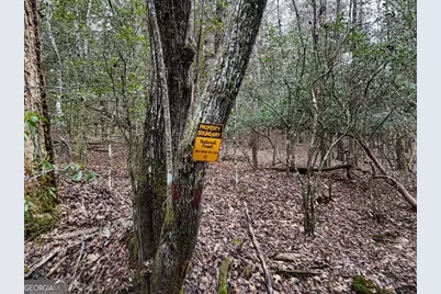 Lt 28/29 New Water Way, Blairsville, GA 30512 - Photo 5