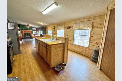 301 Early Spring Court, Greenville, GA 30222 - Photo 13