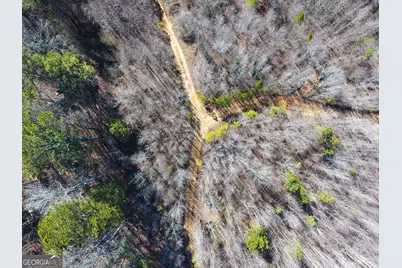0 Wildcat Road, Buchanan, GA 30113 - Photo 21
