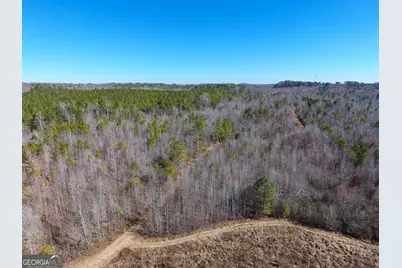 0 Wildcat Road, Buchanan, GA 30113 - Photo 25