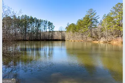 0 Wildcat Road, Buchanan, GA 30113 - Photo 47