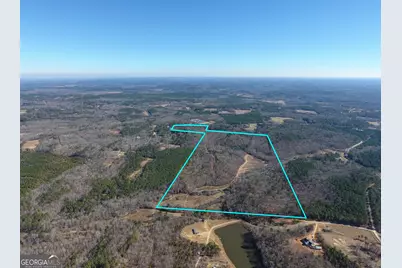 0 Wildcat Road, Buchanan, GA 30113 - Photo 43