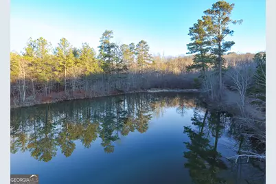 0 Wildcat Road, Buchanan, GA 30113 - Photo 11