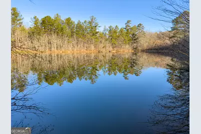 0 Wildcat Road, Buchanan, GA 30113 - Photo 49