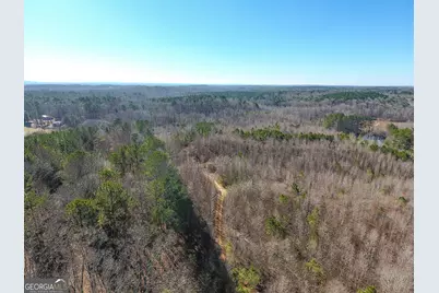 0 Wildcat Road, Buchanan, GA 30113 - Photo 19