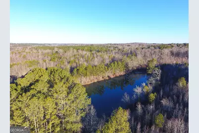 0 Wildcat Road, Buchanan, GA 30113 - Photo 15