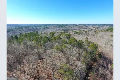 0 Wildcat Road, Buchanan, GA 30113 - Photo 23