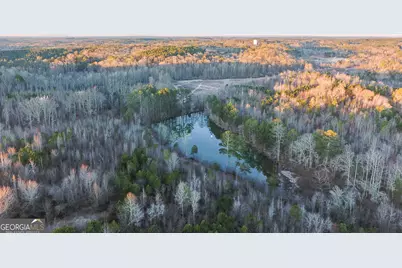 0 Wildcat Road, Buchanan, GA 30113 - Photo 5