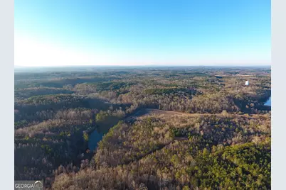 0 Wildcat Road, Buchanan, GA 30113 - Photo 35
