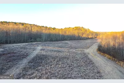 0 Wildcat Road, Buchanan, GA 30113 - Photo 31