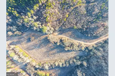 0 Wildcat Road, Buchanan, GA 30113 - Photo 17