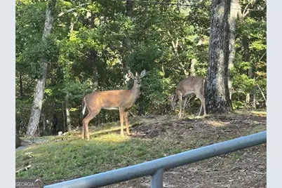 0 Little Hendricks Mountain, Jasper, GA 30143 - Photo 19