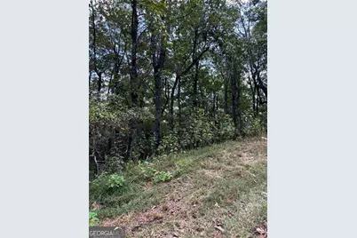 0 Little Hendricks Mountain, Jasper, GA 30143 - Photo 1