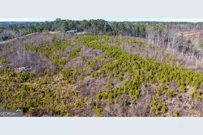 0 Steadman Road, Tallapoosa, GA 30176 - Photo 11